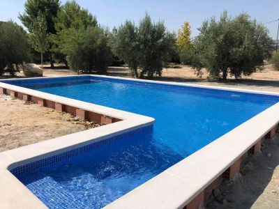 piscina 2 con mosaico ps60